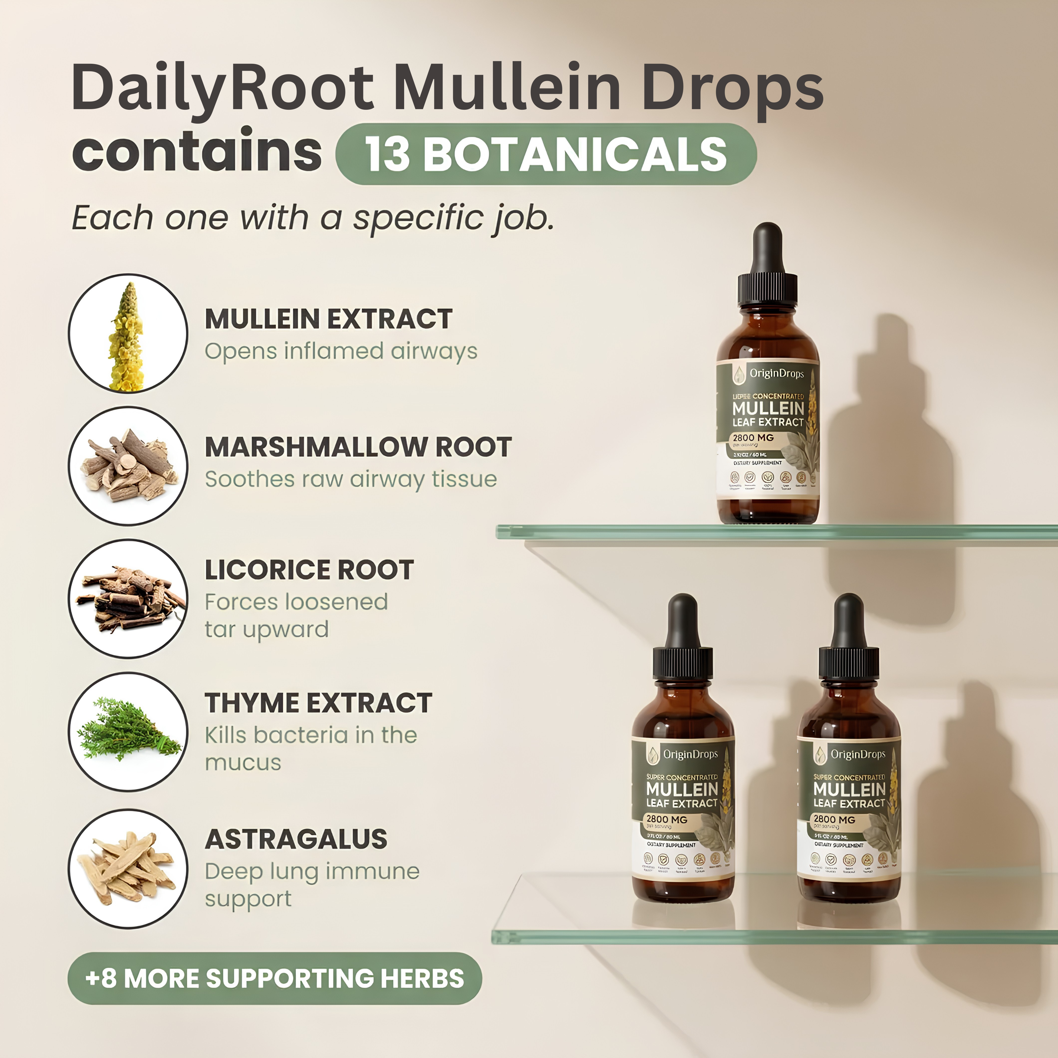 Concentrated Mullein Drops