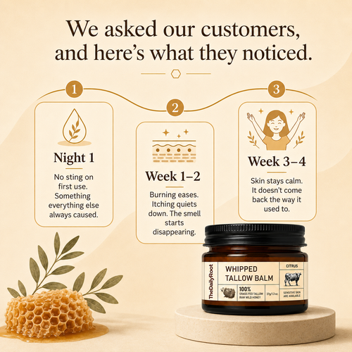 Whipped Tallow & Honey Balm - 1.3 Oz
