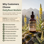 Concentrated Mullein Drops