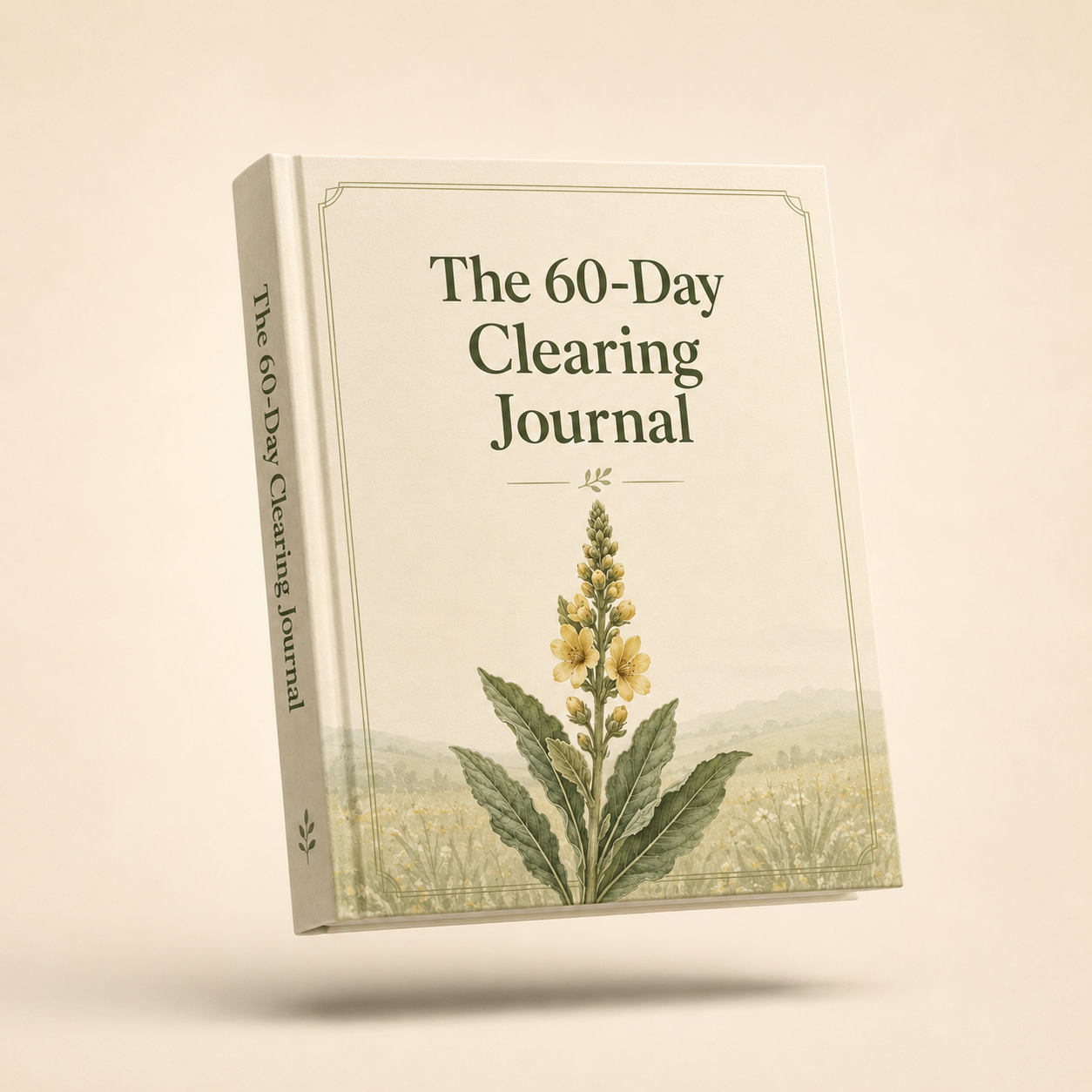 The 60-Day Clearing Journal